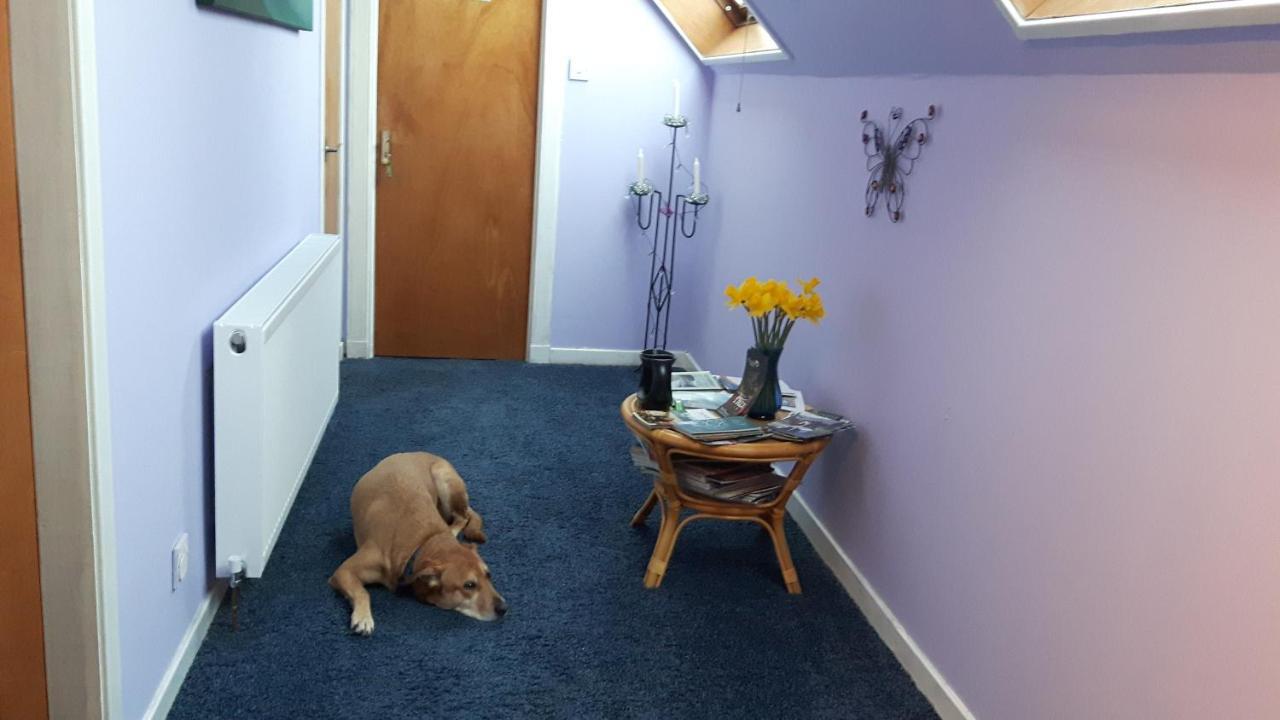 The Stables,Kirkmichael Bed and Breakfast Blairgowrie and Rattray Eksteriør billede
